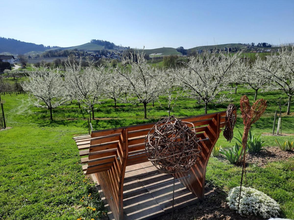 Ferienwohnung Am Weinberg Oberkirch  Dış mekan fotoğraf