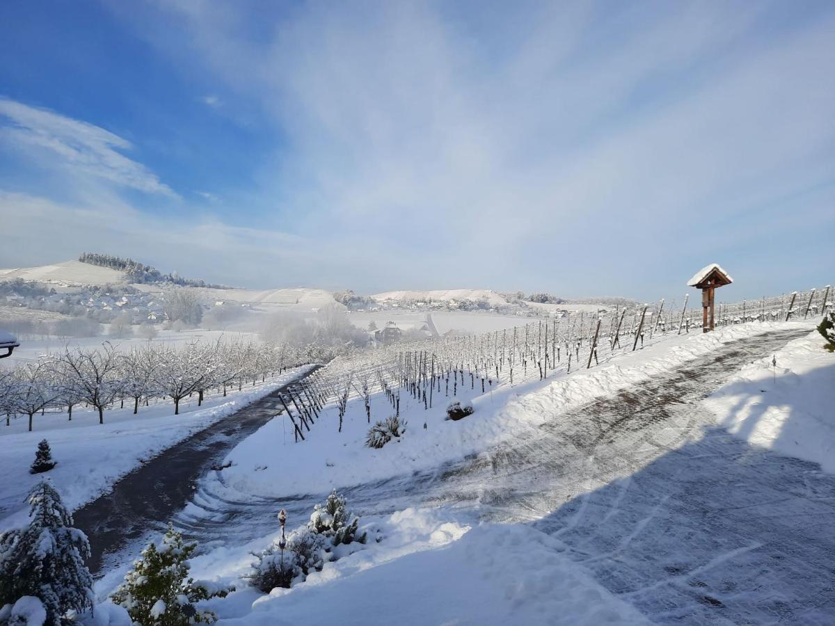 Ferienwohnung Am Weinberg Oberkirch  Dış mekan fotoğraf
